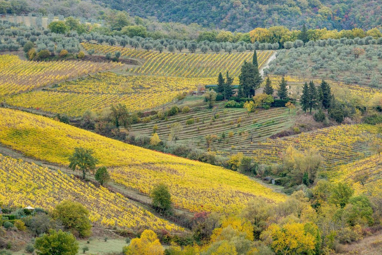 Terre Di Baccio Acomodação com café da manhã Greve in Chianti Exterior foto