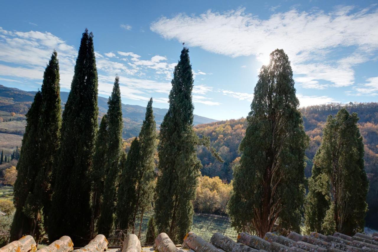 Terre Di Baccio Acomodação com café da manhã Greve in Chianti Exterior foto