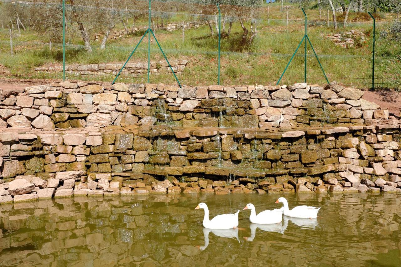 Terre Di Baccio Acomodação com café da manhã Greve in Chianti Exterior foto