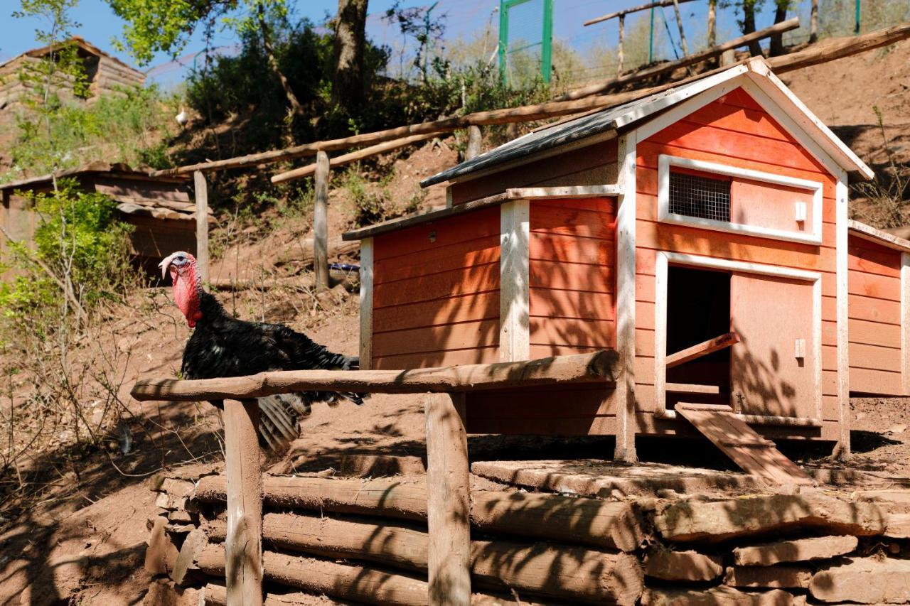 Terre Di Baccio Acomodação com café da manhã Greve in Chianti Exterior foto